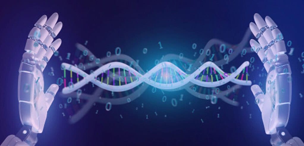 Gene Coding Identification